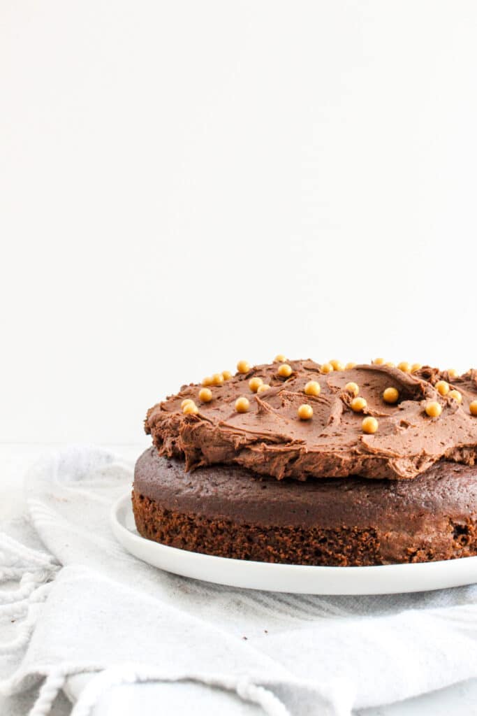 Perfect Single Layer Chocolate Cake