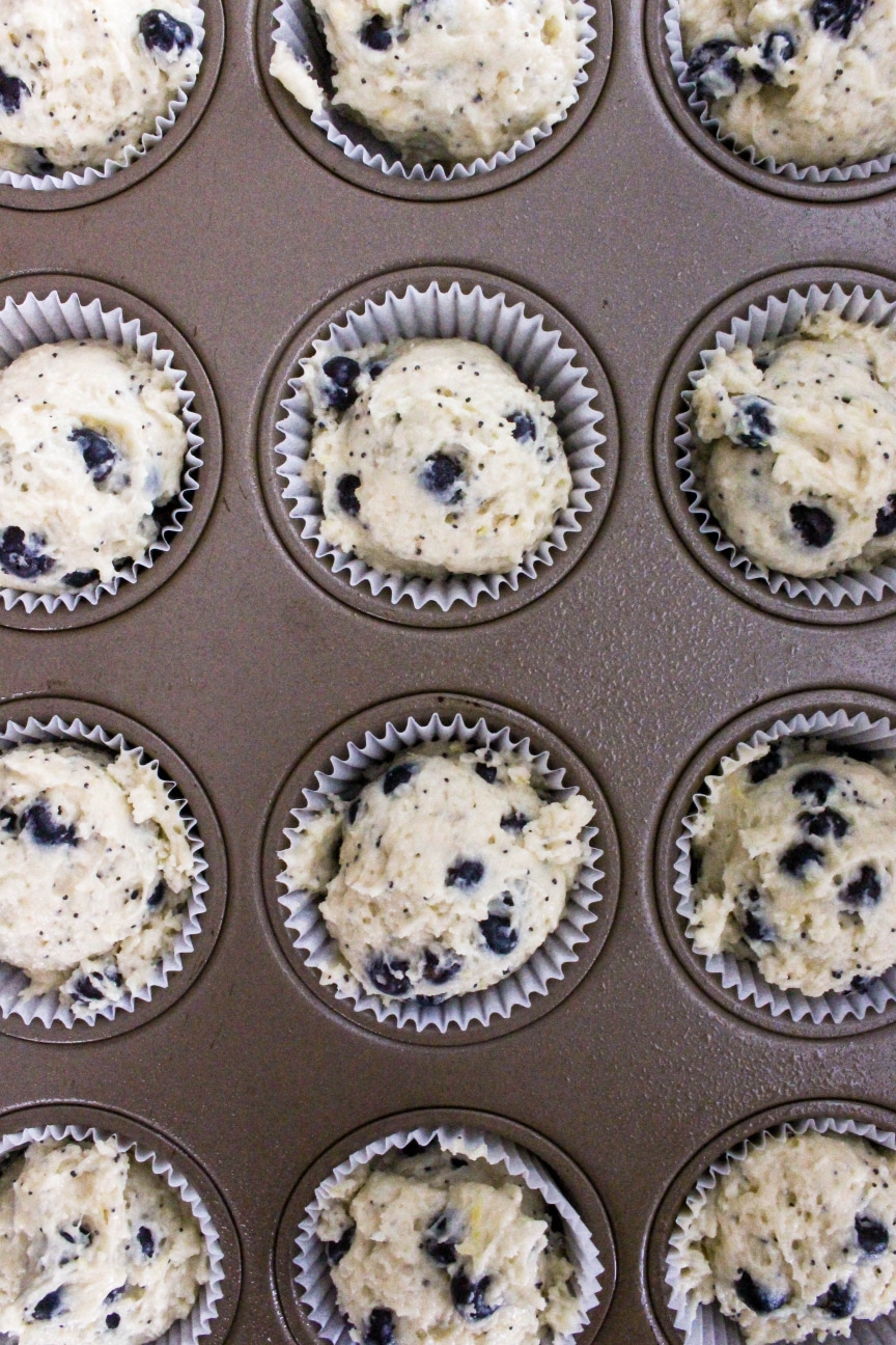 Perfect Blueberry Poppyseed Muffins