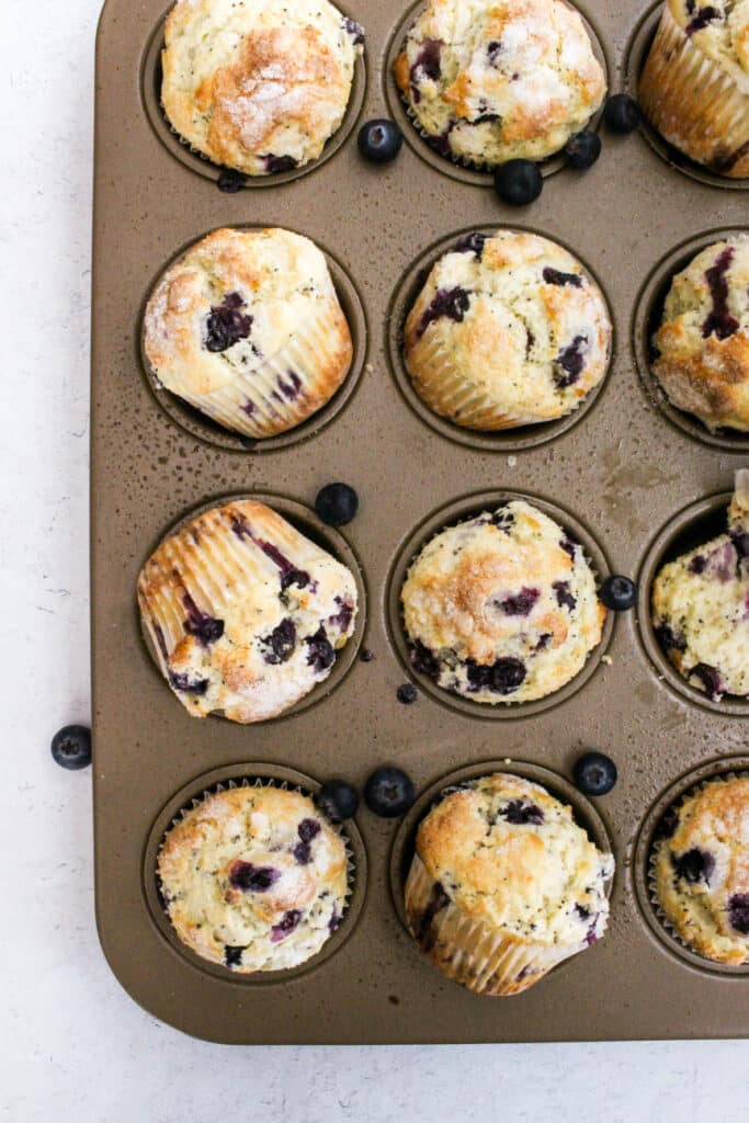 Blueberry Poppyseed Muffins