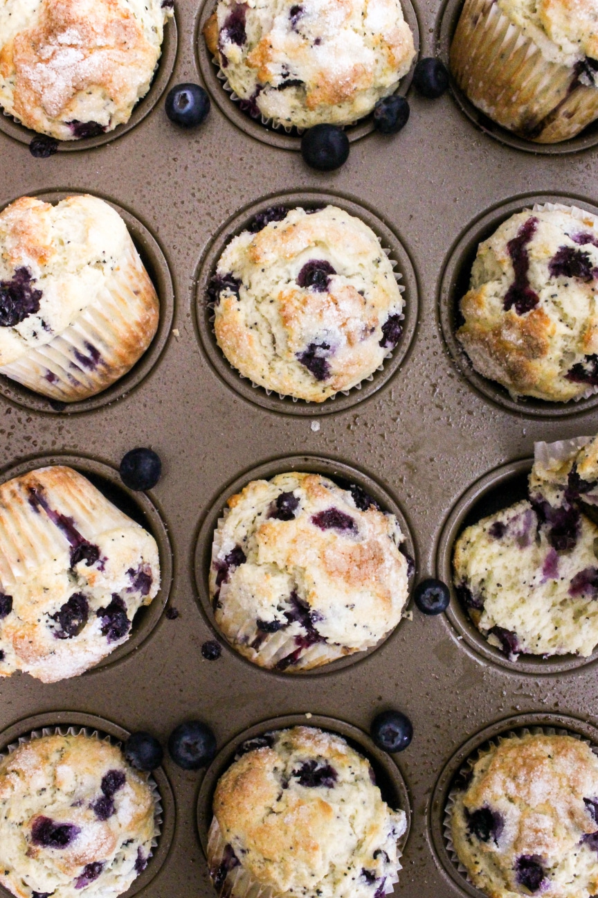 High Altitude Blueberry Poppyseed Muffins