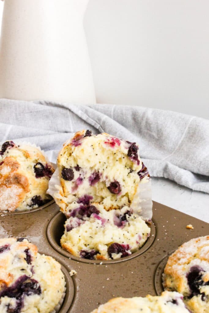 Best Blueberry Poppyseed Muffins