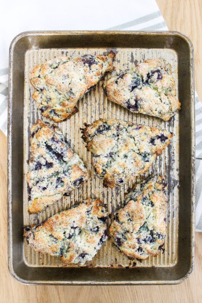 The Best Blueberry Ricotta Scones