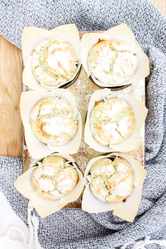 Best Small batch Almond Poppyseed Muffins 