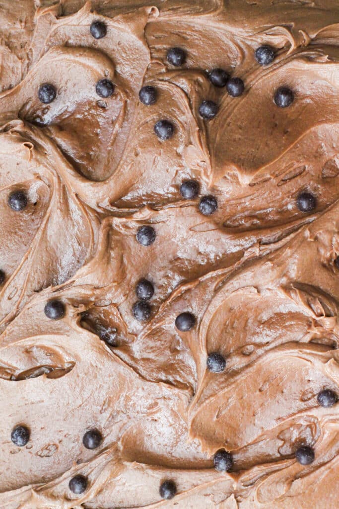Frosted Peanut Butter Chocolate Cake