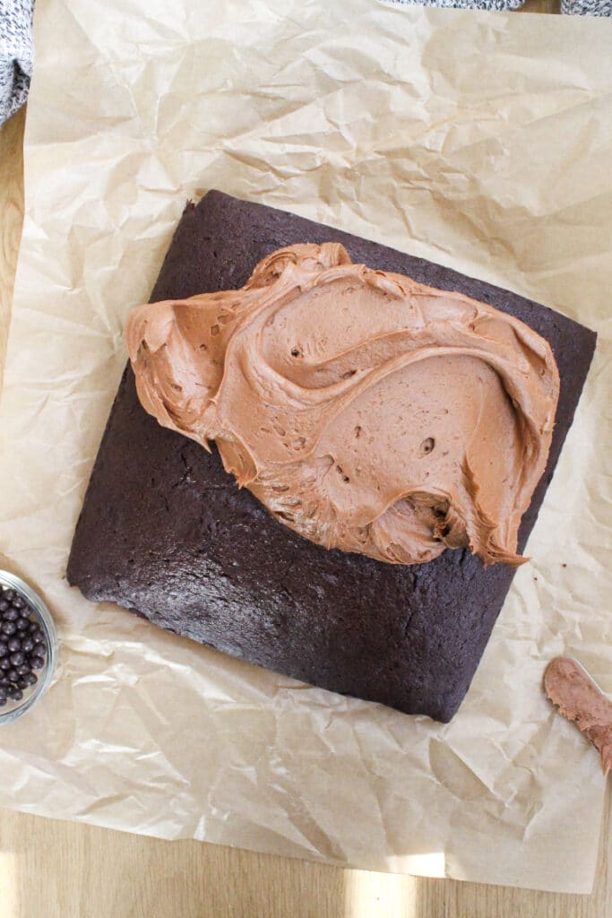 Best Peanut Butter Chocolate Cake Recipe