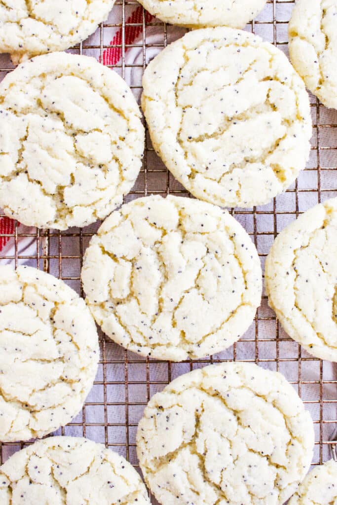 The best Poppyseed Cookies