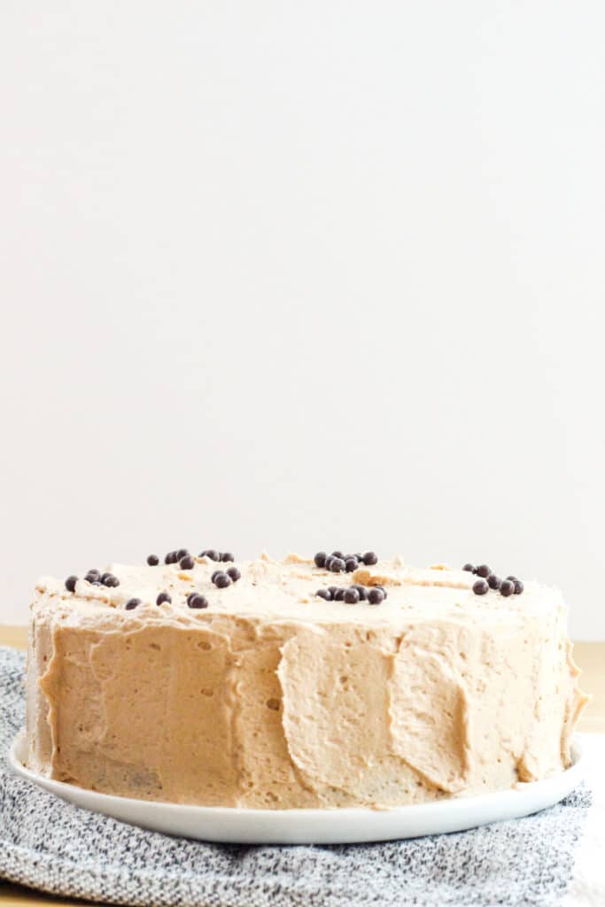 Best High-Altitude Mocha Cake Recipe